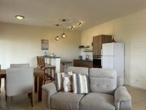 Curacao the Caribbean Movement, curaçao, willemstad, curacao, tropical, antilles, nature, caribbean, dutch, architecture, island, travel, colorful, sea, vacation, color, exterior, netherlands, tropics, blue travel, blue color, blue island, blue curacao, royal caribbean, royal caribbean ships, royal caribbean cruise, cheap caribbean, Caribbean islands, Caribbean, curacao drink, curacao island, sandals curacao, curacao real estate for sale, caribbean cruise, curacao real estate, curaçao real estate, caribbean real estate for sale for rent